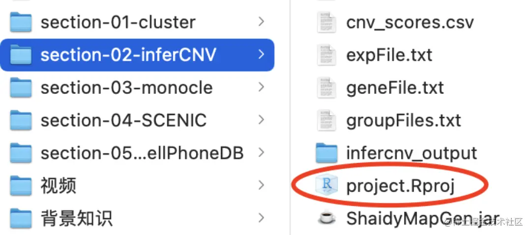 来源：生信技能树