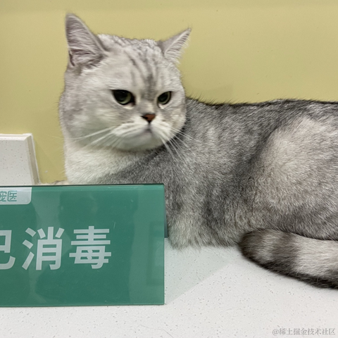 Lz_heng于2022-11-02 09:16发布的图片