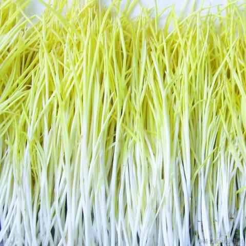 华森制药于2024-01-10 13:30发布的图片