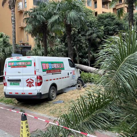 蝴蝶刀砍手大师于2024-02-22 09:54发布的图片
