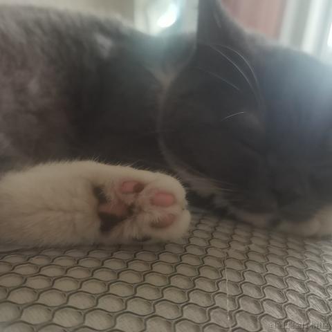 小菜鸟的成长之路于2023-06-10 22:55发布的图片