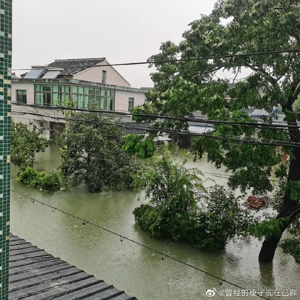 “烟花”来势汹汹！用数据可视化告诉你：台风最爱在哪登陆？