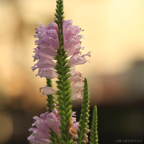 通惠管理顾问于2023-06-19 15:05发布的图片