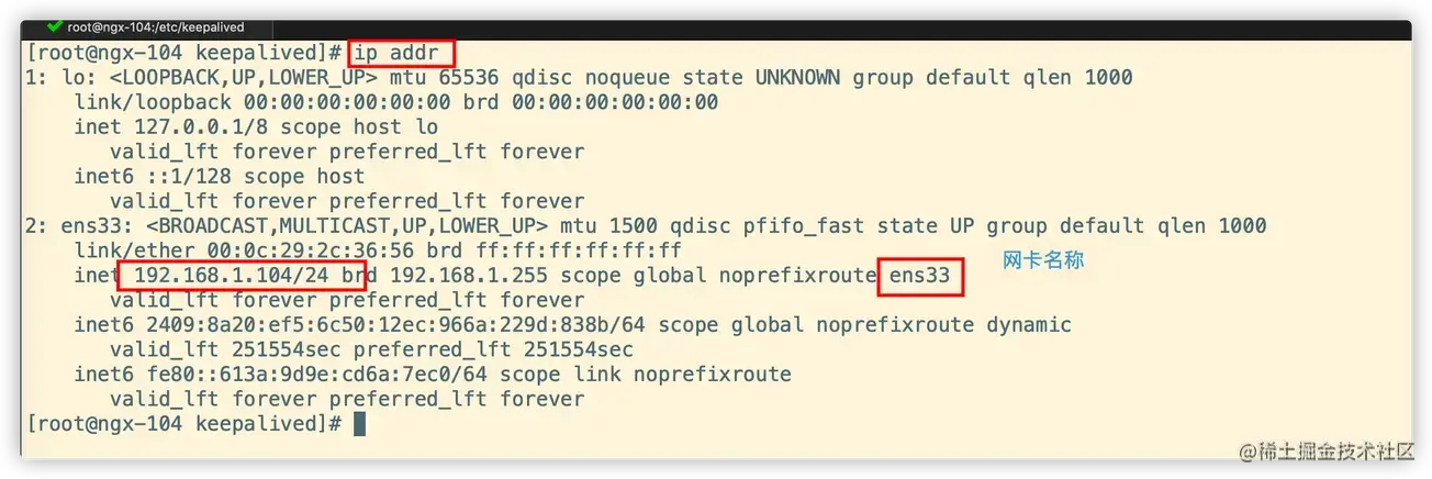 image-20200521214418246