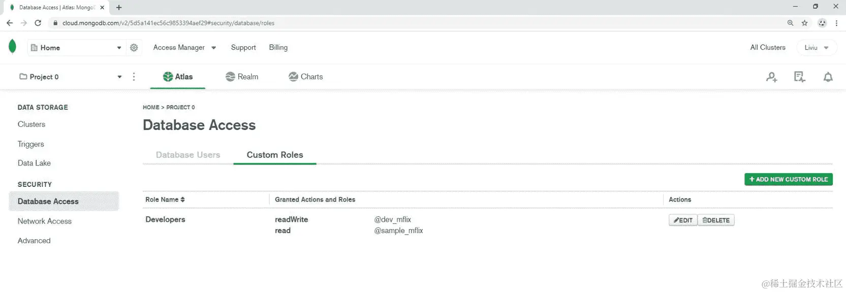 图 3.45：数据库访问-自定义角色