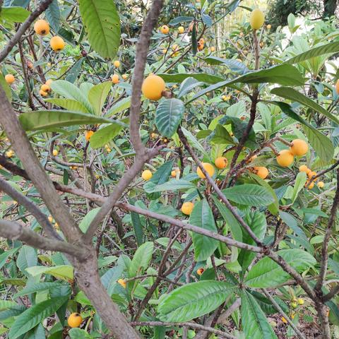 pdudo于2023-04-30 09:21发布的图片