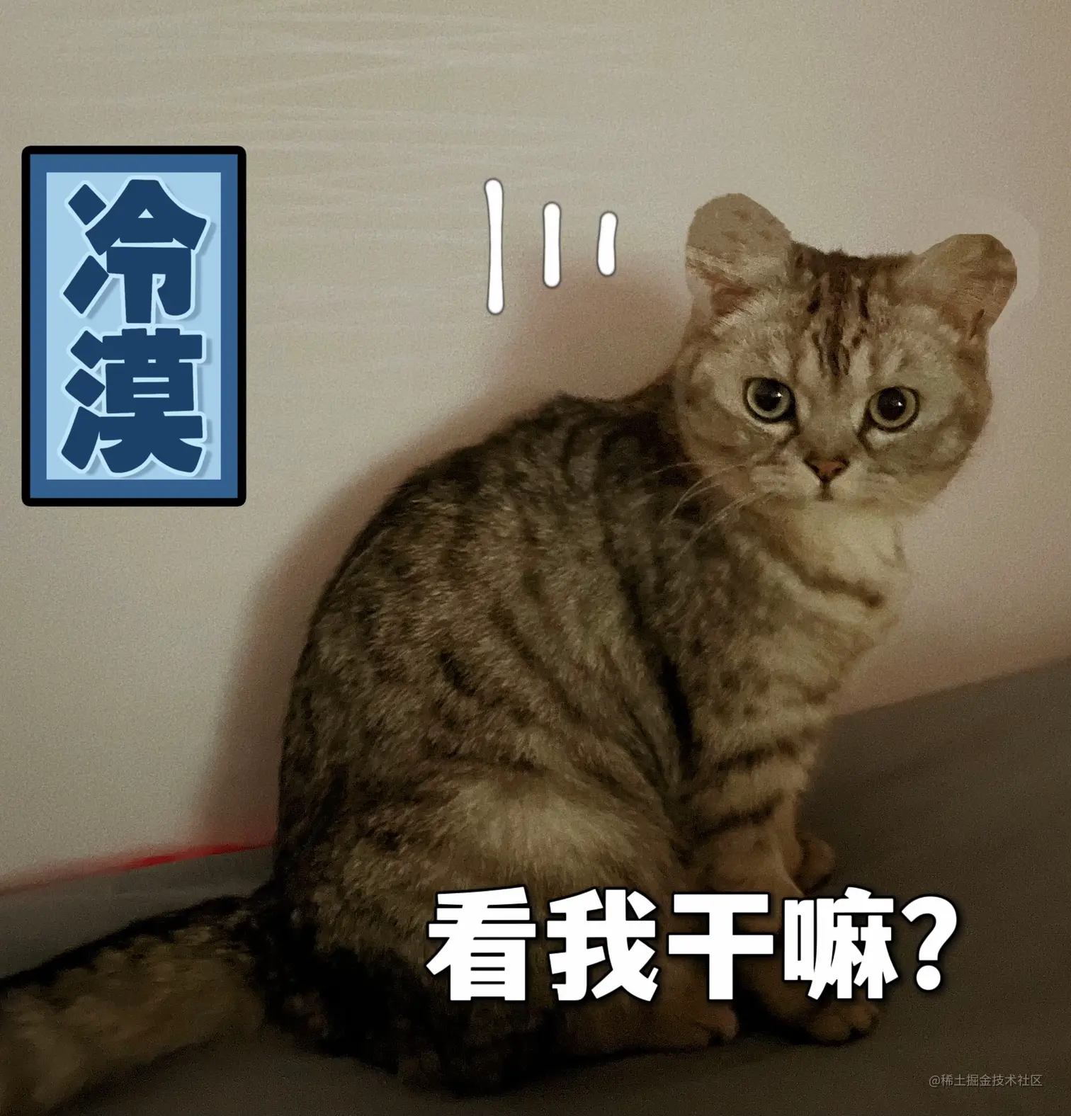 IMG_2600.png
