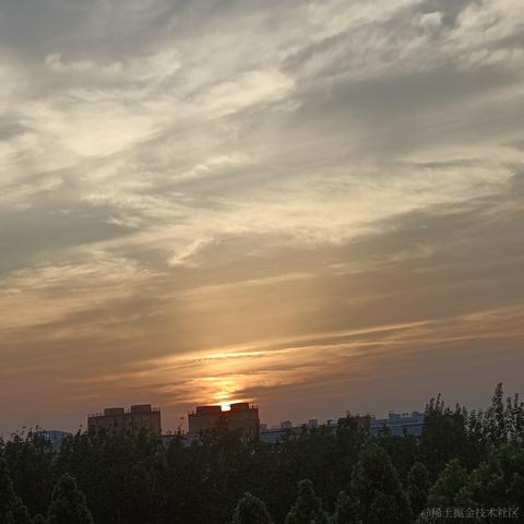 今晚要早睡yun于2023-05-17 17:48发布的图片