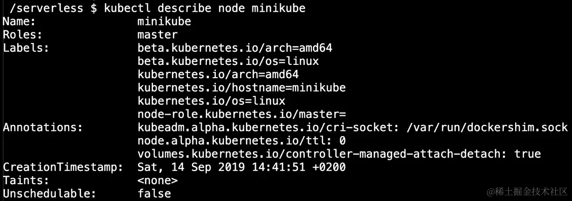 图 4.11：节点元数据
