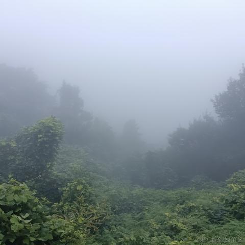 冷月半明于2023-07-28 23:01发布的图片