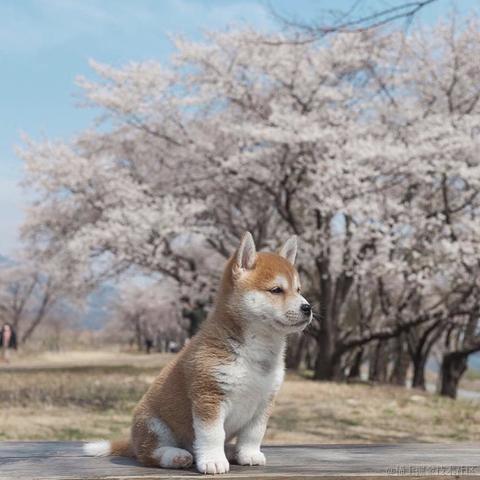 yuxi105768于2023-06-26 10:08发布的图片