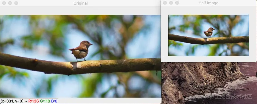Scale Images in Python