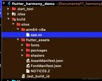 flutter_assets.png