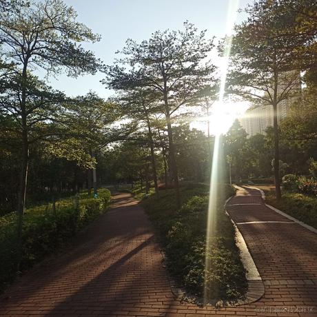 关注嘉然顿顿馋于2022-11-27 22:02发布的图片