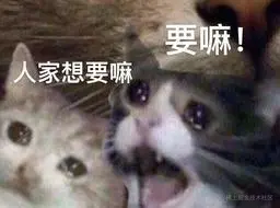 16.jpeg