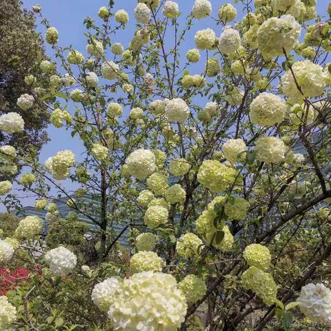 已注销于2021-03-25 17:41发布的图片