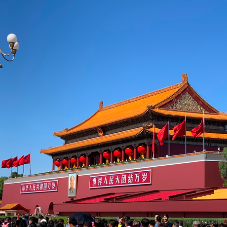 热血的兔子于2021-05-20 19:04发布的图片