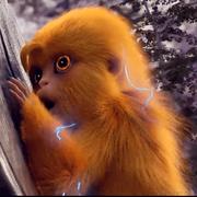 夜影千寻的个人资料头像