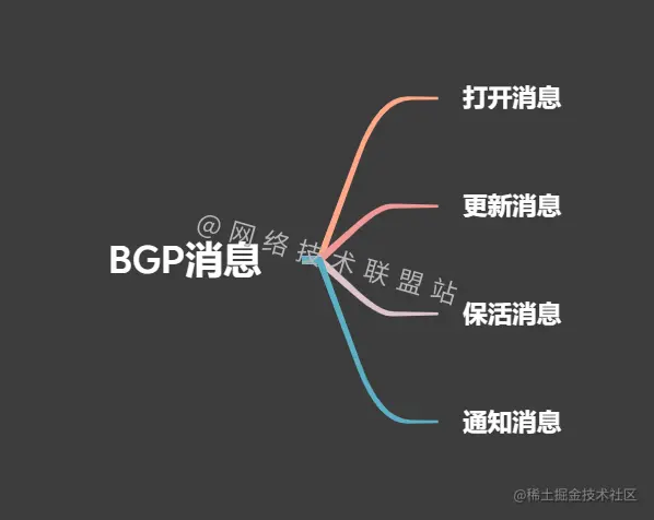 BGP消息