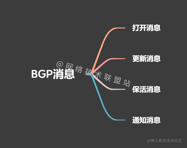 BGP消息