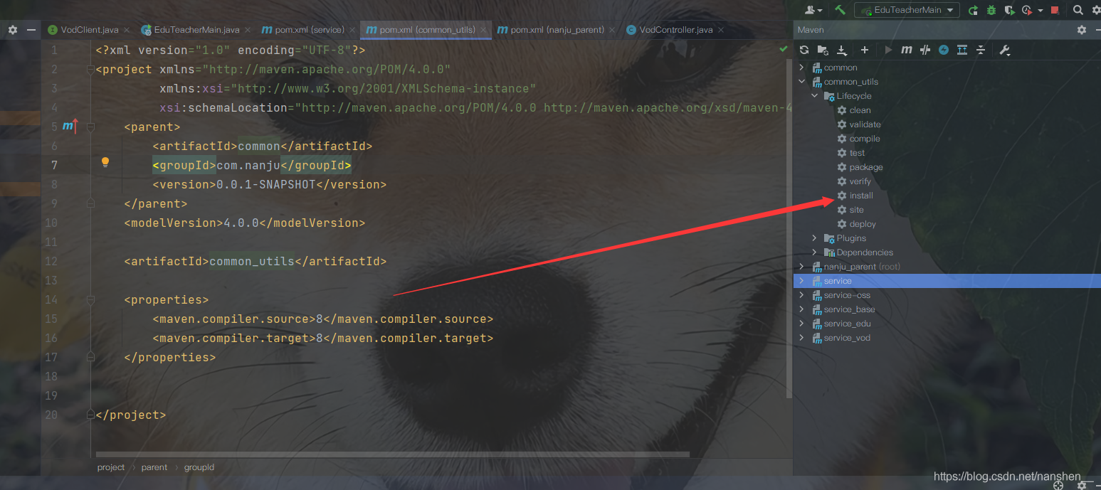 在这里插入图片描述