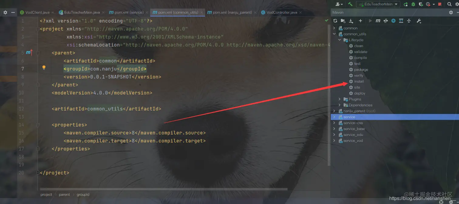 在这里插入图片描述