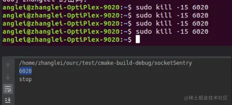 image-20221207152347632