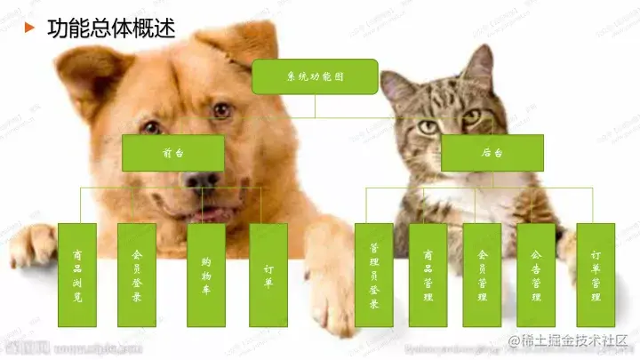 基于java的宠物网站设计与实现的论文PPT源码（包调试运行成功）