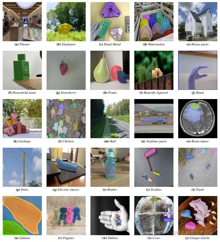 Figure 10. Ground Truth visualization of segmentation in the wild datasets from Roboflow for a wider evaluation.