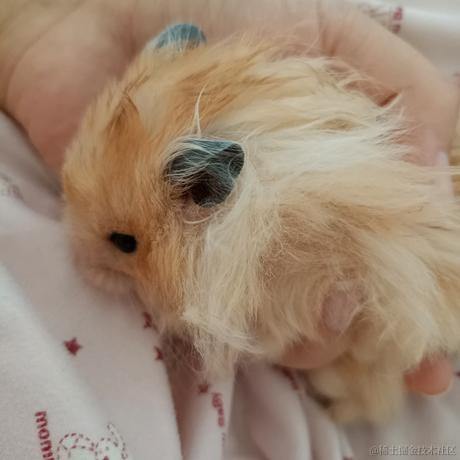 内mar儿于2022-11-25 10:20发布的图片