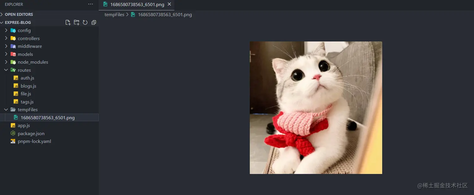 image-20230612223947717