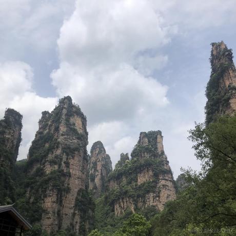葱头来过于2021-08-17 07:36发布的图片