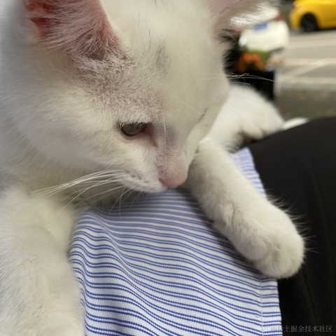 宁在春于2022-05-21 16:08发布的图片