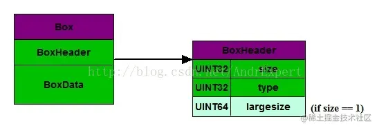 Box基本结构