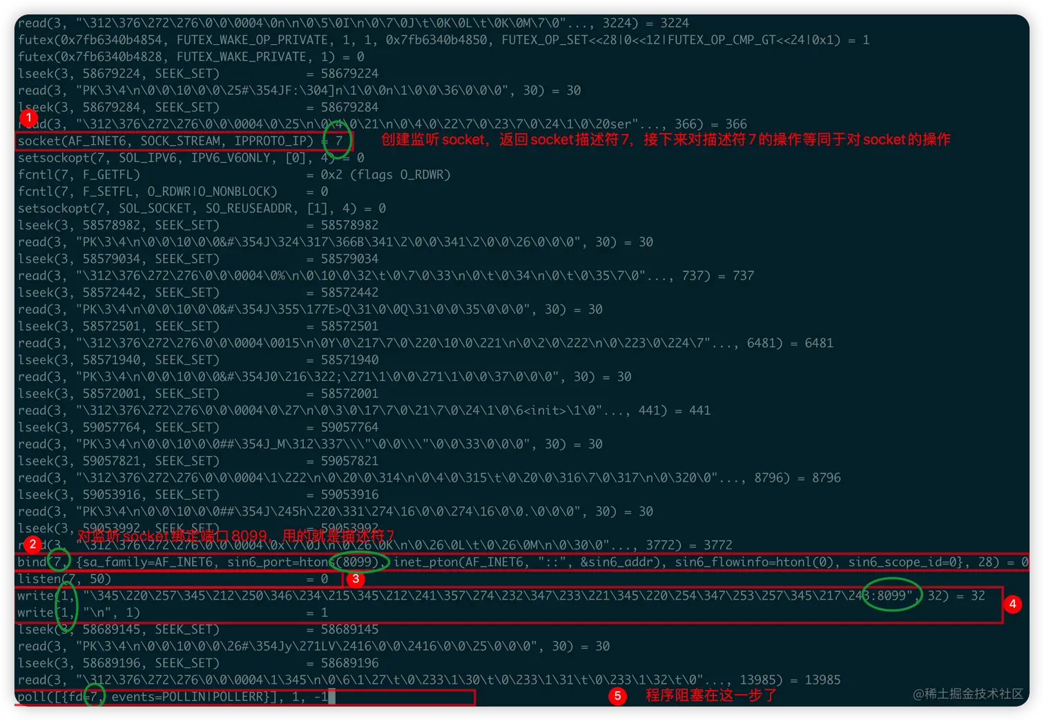 image-20221224183707700