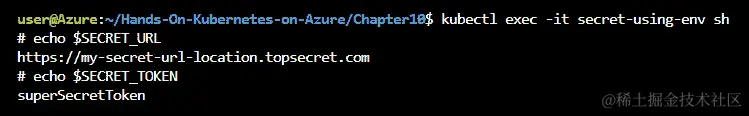 通过使用 kubectl exec 在容器中打开 shell 并运行 echo 来验证环境变量是否设置正确，以获取秘密值。