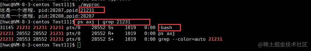 image-20221031223758901