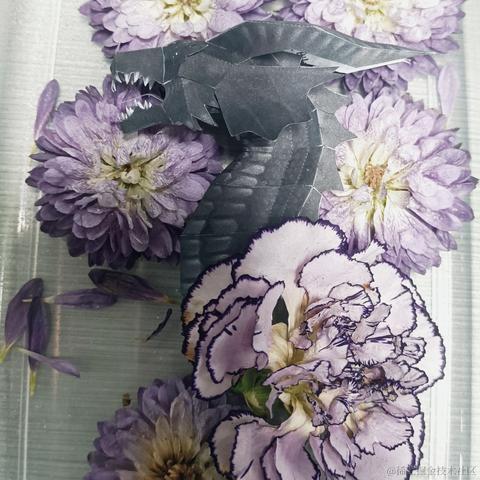 加盐于2022-11-28 12:21发布的图片