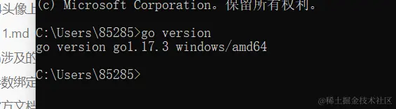 image-20211120195812241