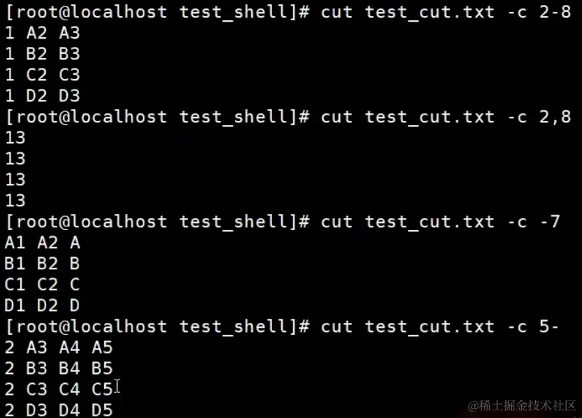 image-20240203102450789