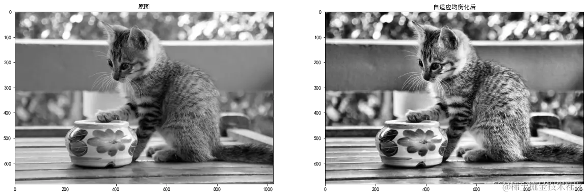 [外链图片转存失败,源站可能有防盗链机制,建议将图片保存下来直接上传(img-dXFu4fz3-1637754593316)(output_22_1.png)]