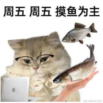 深圳分汪于2022-10-21 11:45发布的图片