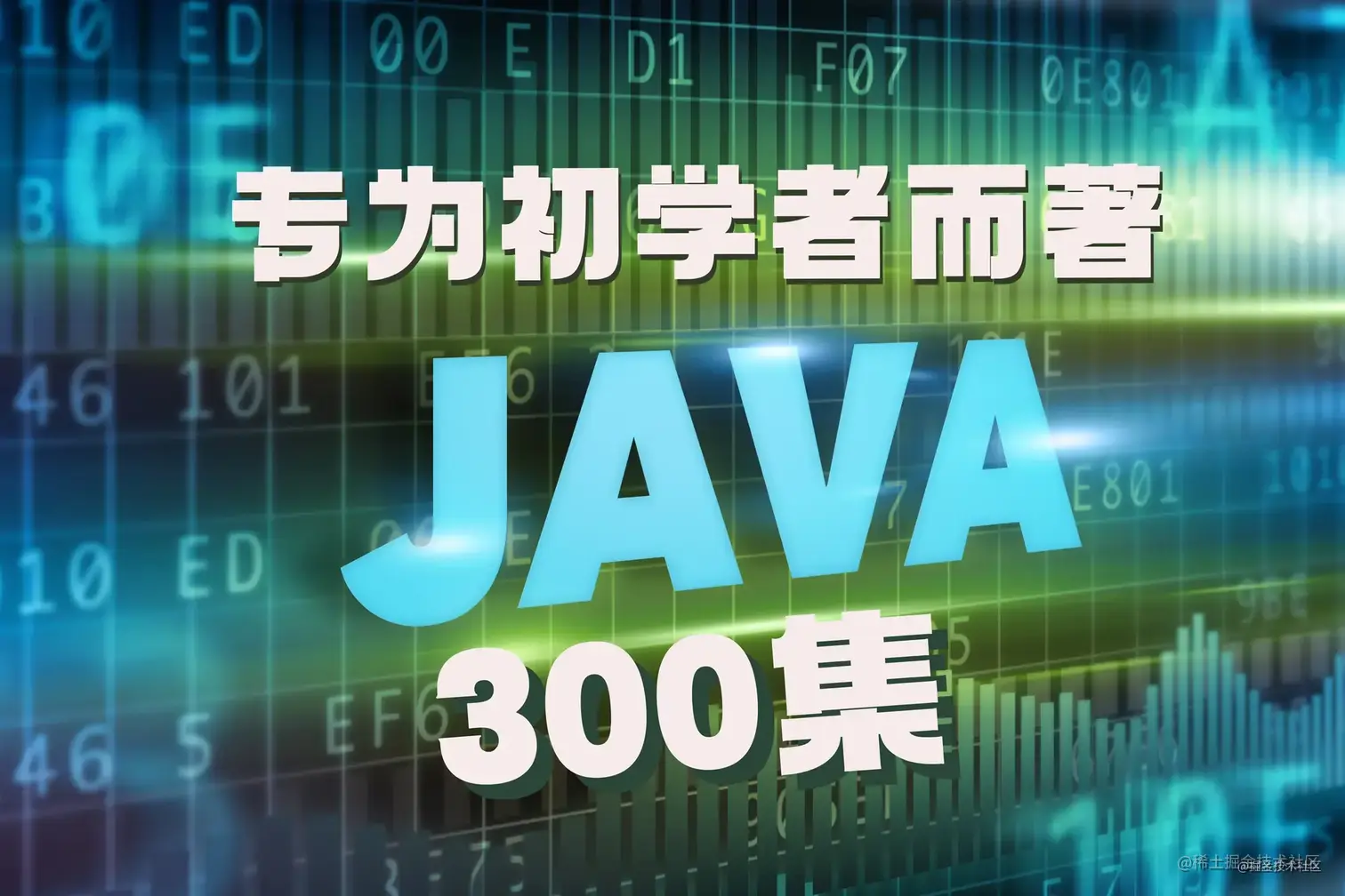 java300.jpg