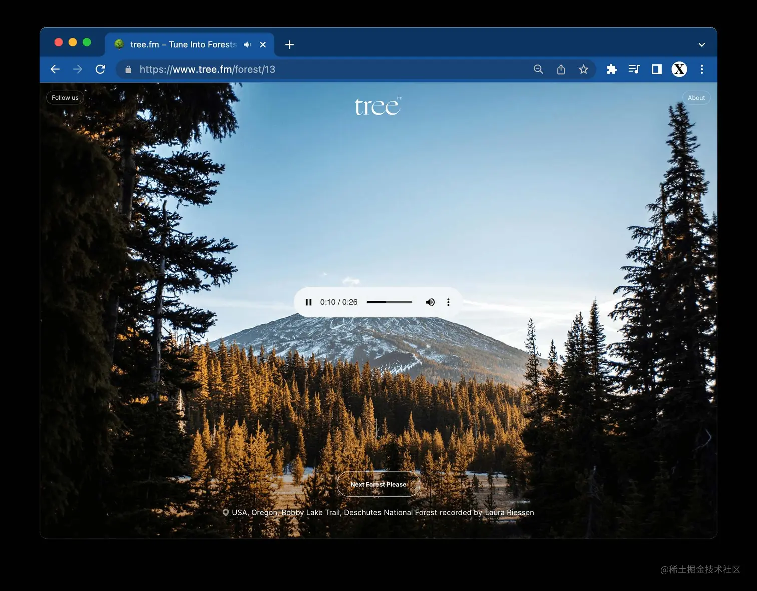 tree.fm – Tune Into Forests From Around The World 🌳🔈