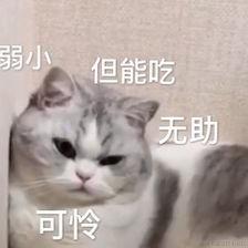 HearLing于2021-02-06 08:51发布的图片