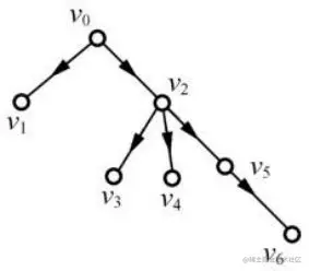 有向树 的图像结果