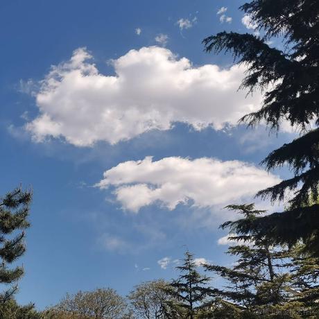 白令于2023-04-15 13:09发布的图片