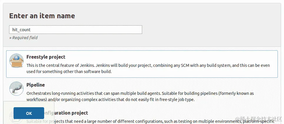 图 8.12：选择自由风格项目