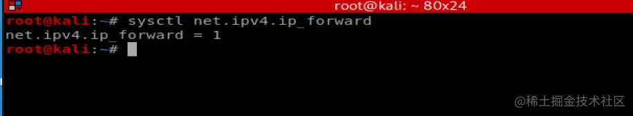 image-20210628010301617