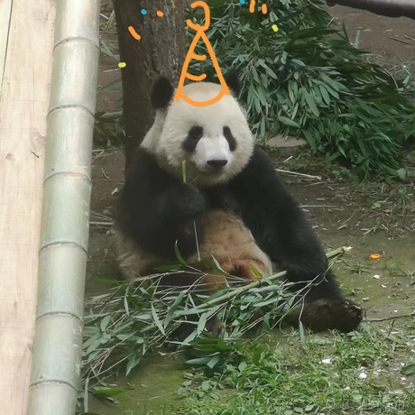 咸鱼中的妮妮酱于2023-06-10 23:56发布的图片